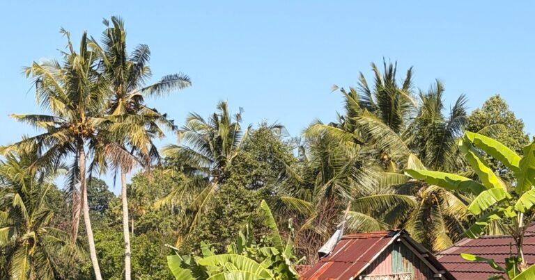 Bali for business, outback for the soul