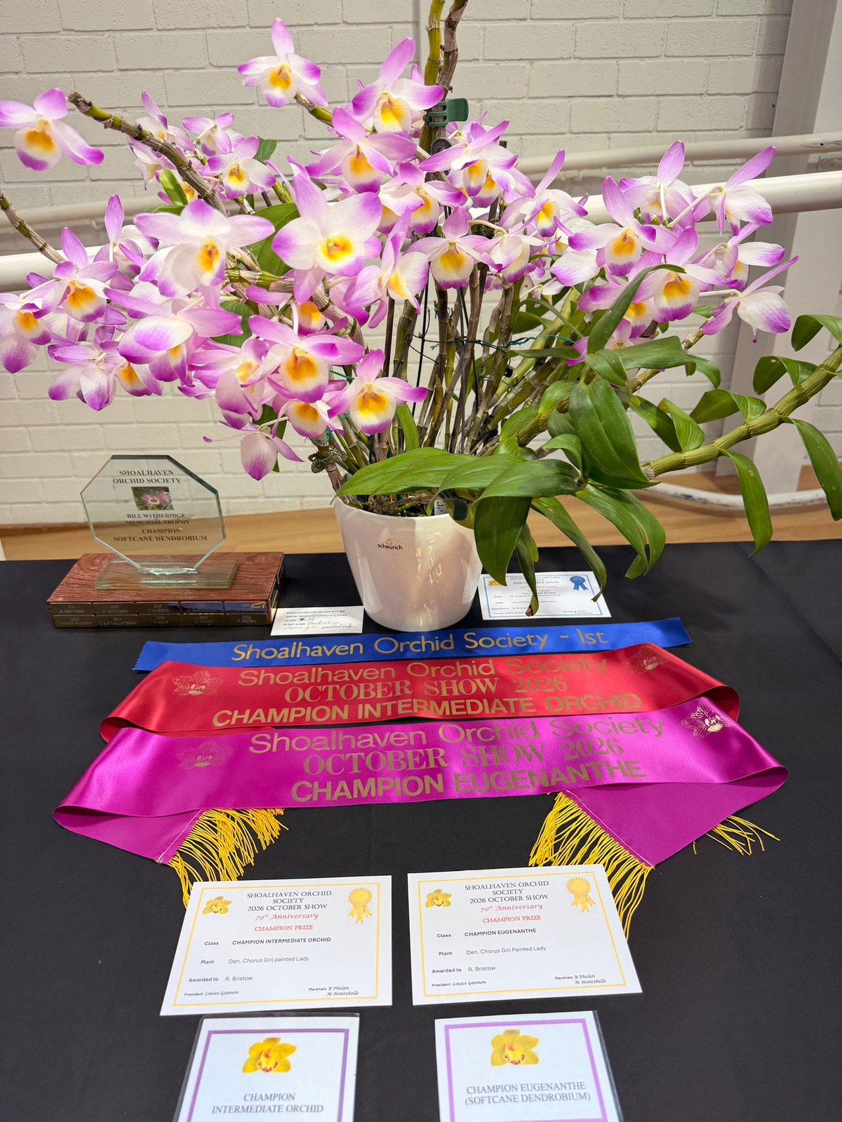 I Went to an Orchid Show and Barely Survived