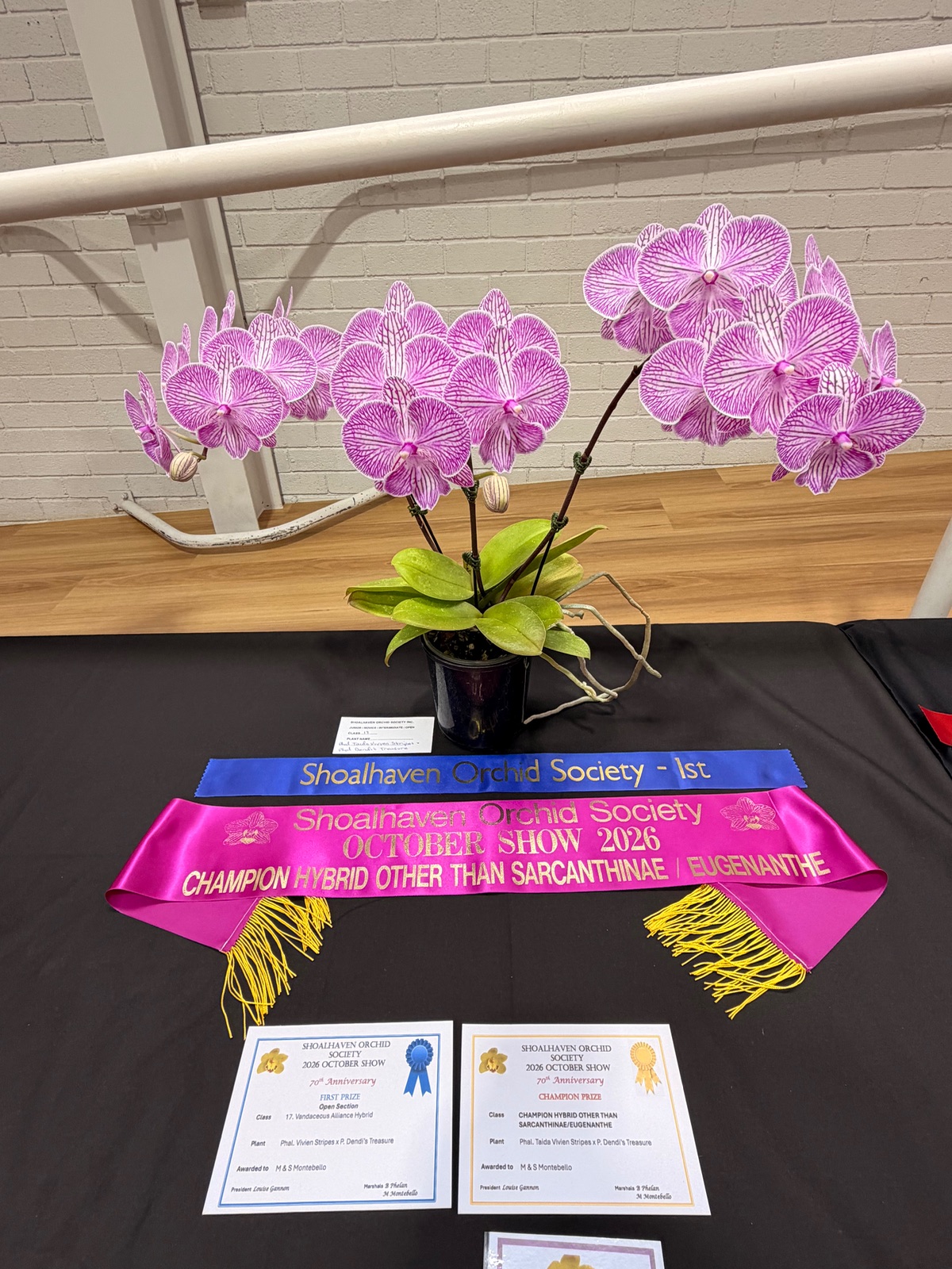 I Went to an Orchid Show and Barely Survived