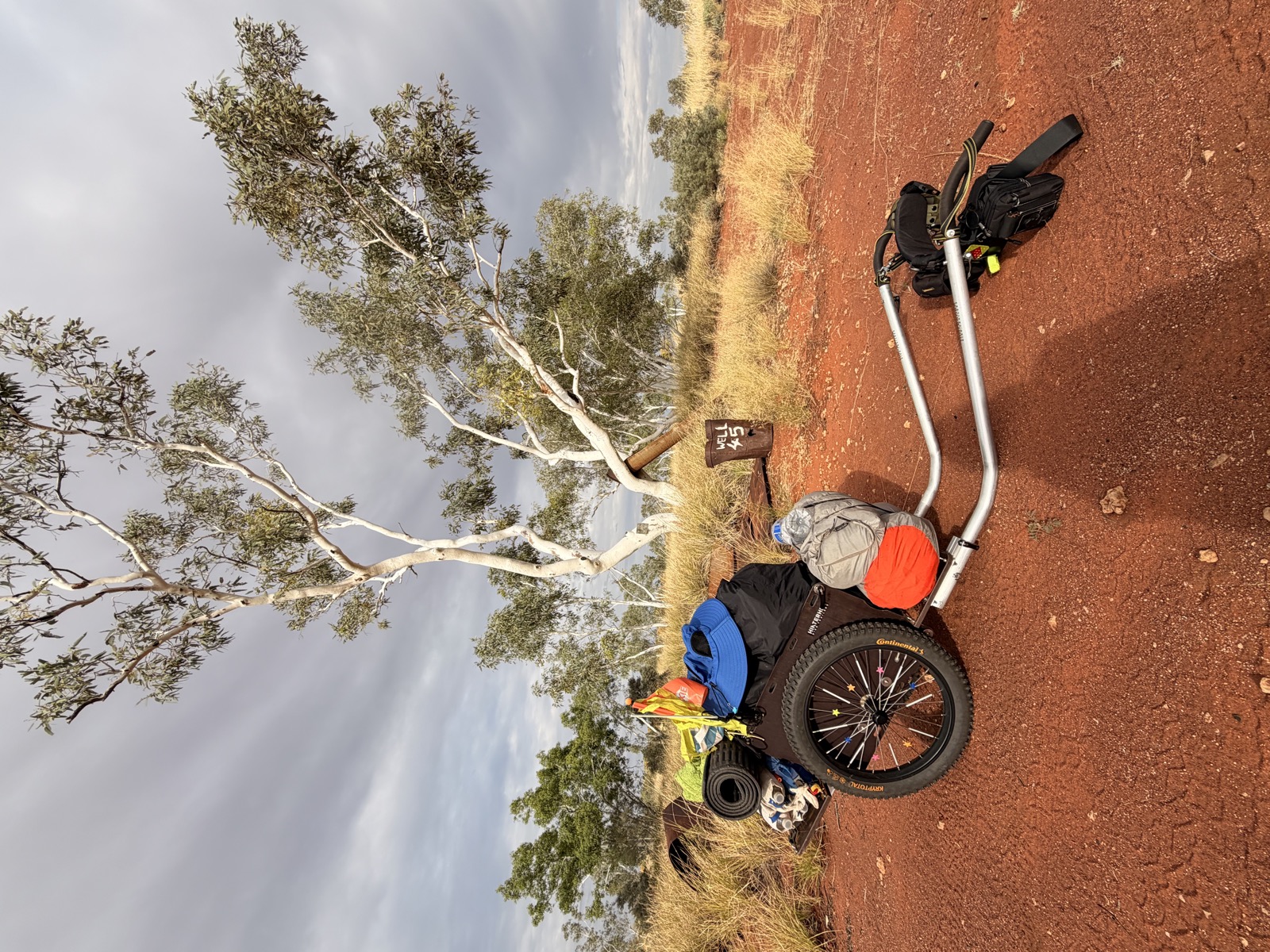 The Well 45 marker beside a white gum with the loaded trolley