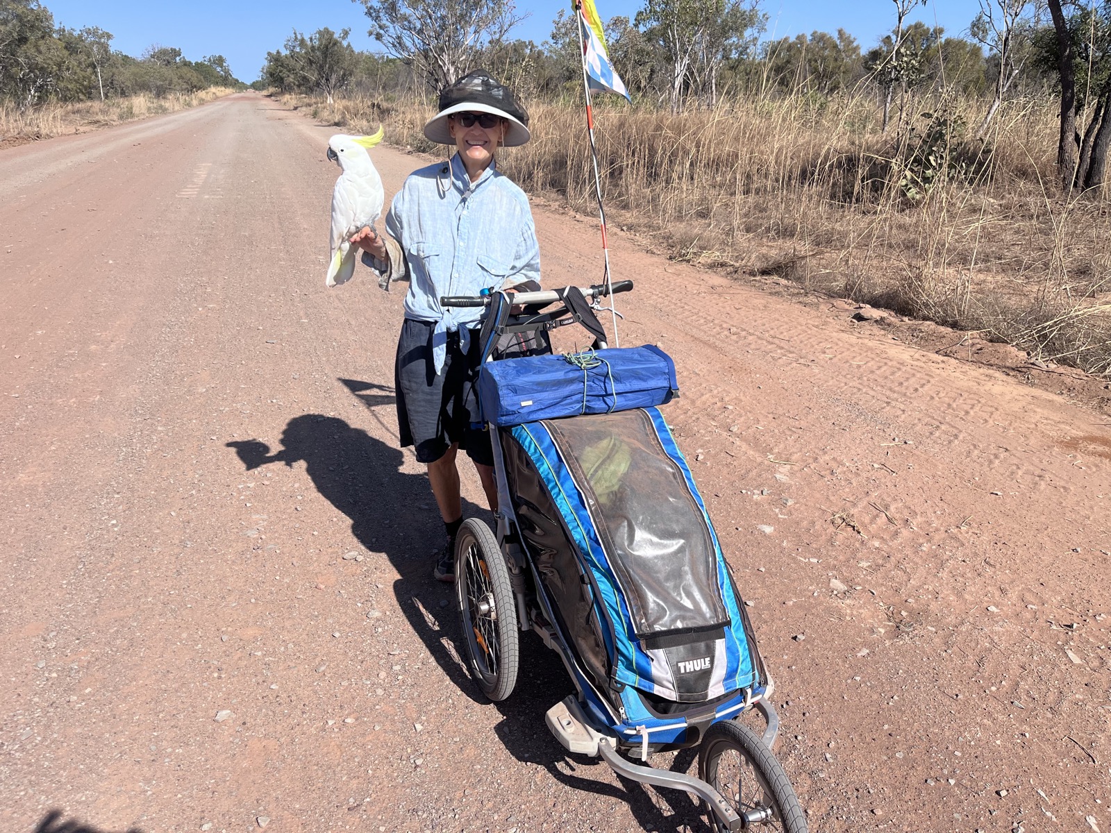 Walking with the pram, a white cockatoo perched on her